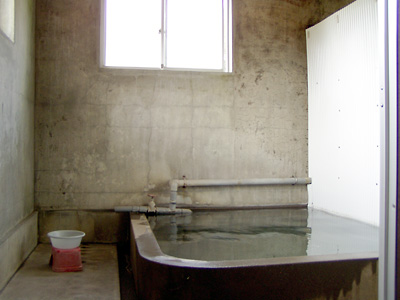 4032901.jpg