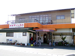 503087.jpg