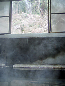 503101.jpg