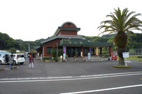 DSC04115.jpg