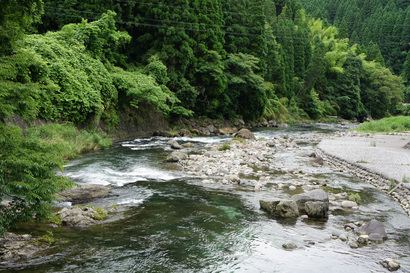 DSC04738.jpg