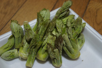 DSC07519.jpg