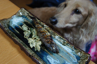 DSC07524.jpg