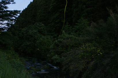 DSC08797.jpg