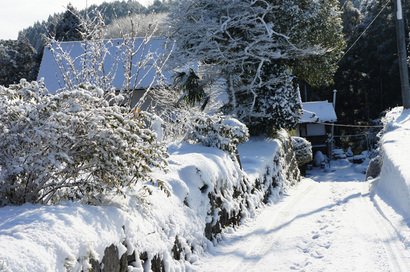 DSC09780.jpg