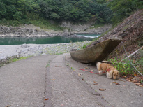 IMGP3604.jpg