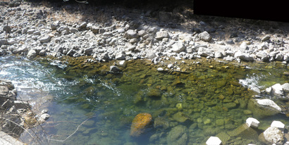 IMGP4072.jpg