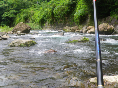 IMGP4196.jpg