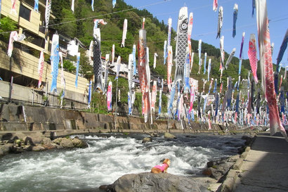 RIMG0538.jpg